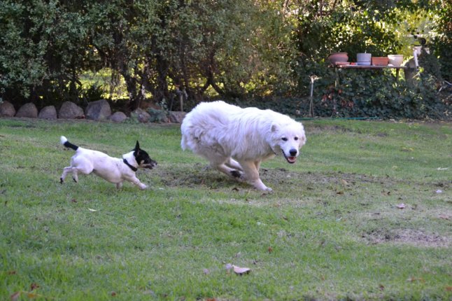 DSC_0116 (FILEminimizer)