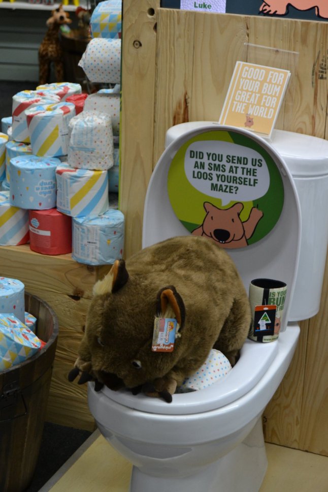 DSC_0119 (FILEminimizer)