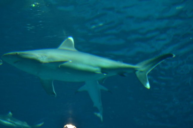 DSC_0120 (FILEminimizer)