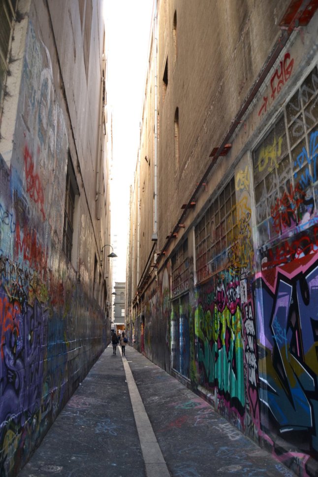 DSC_0121 (FILEminimizer)