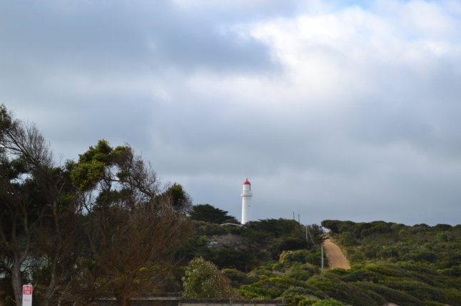 DSC_0132 (FILEminimizer)