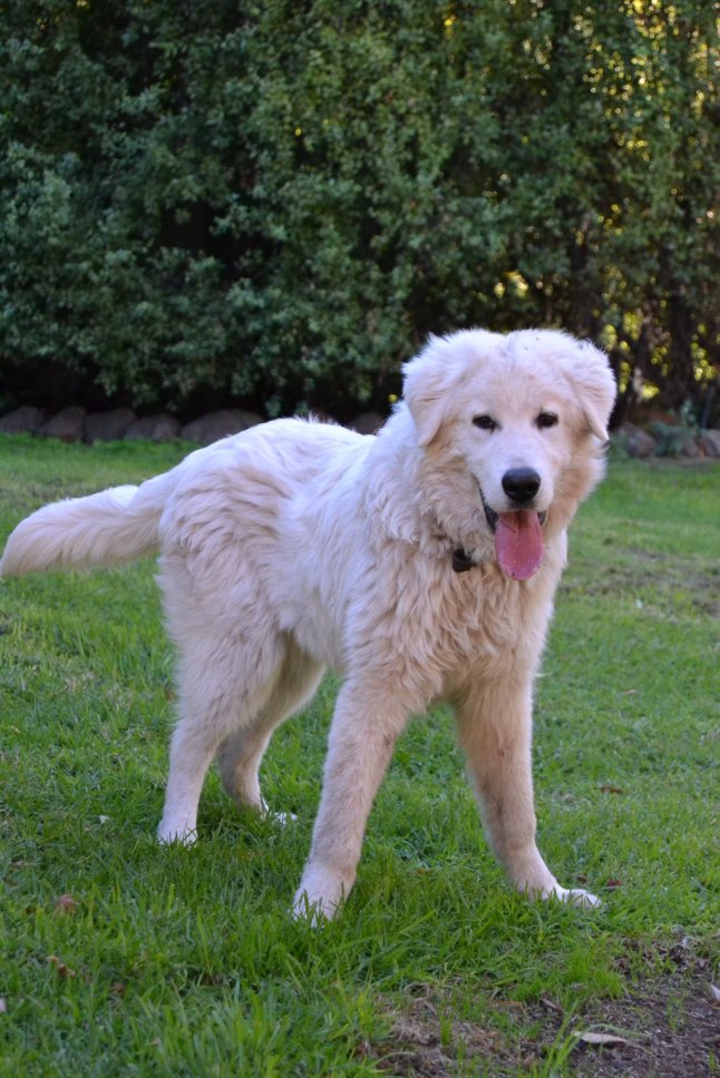 DSC_0146 (FILEminimizer)