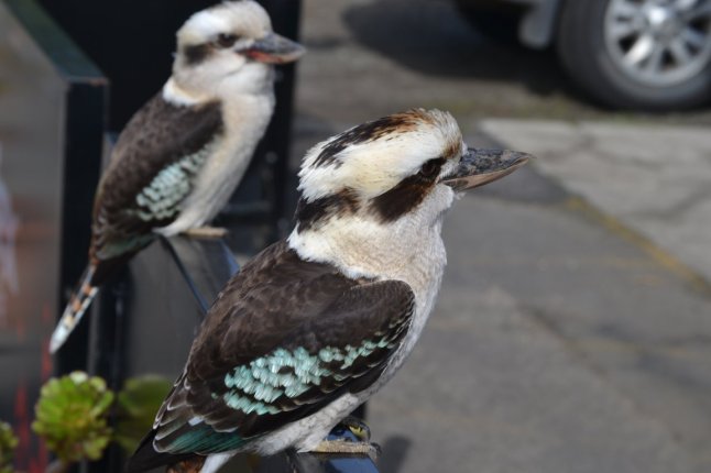 DSC_0163 (FILEminimizer)