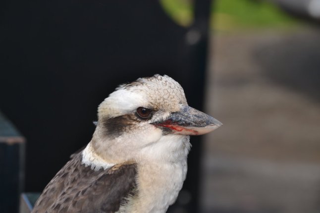 DSC_0166 (FILEminimizer)