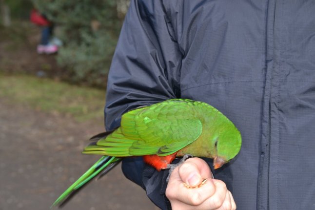 DSC_0169 (FILEminimizer)