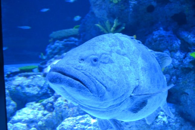 DSC_0171 (FILEminimizer)