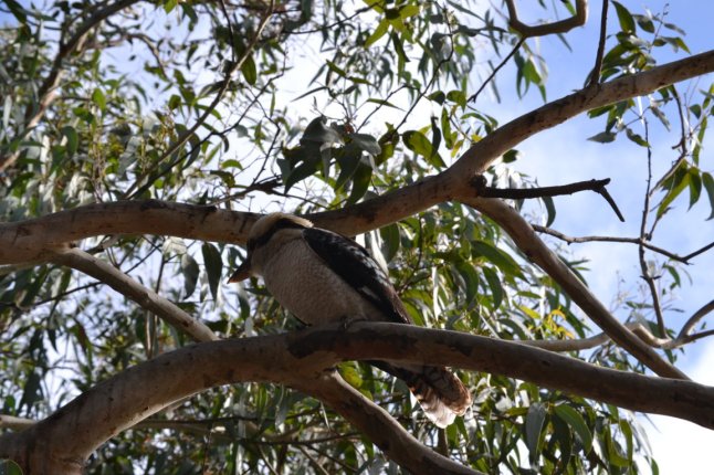 DSC_0173 (FILEminimizer)