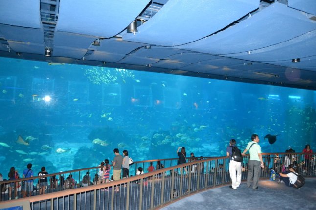 DSC_0179 (FILEminimizer)