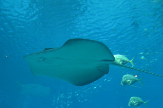 DSC_0180 (FILEminimizer)