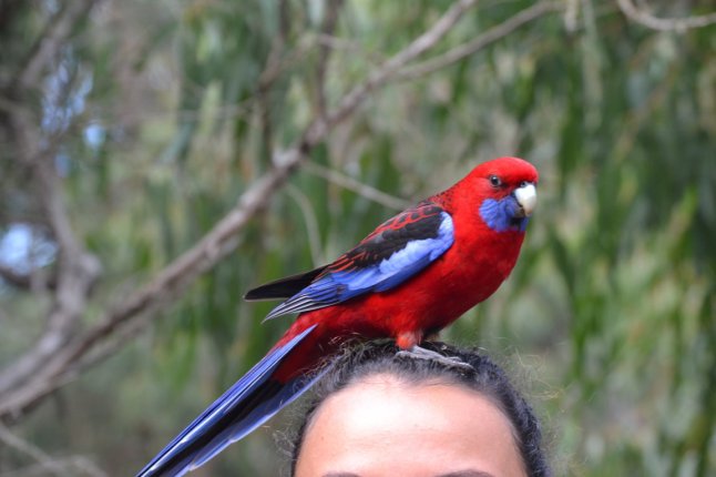 DSC_0190 (FILEminimizer)