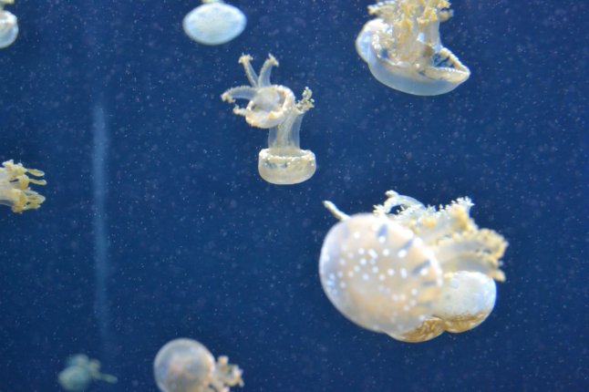 DSC_0192 (FILEminimizer)