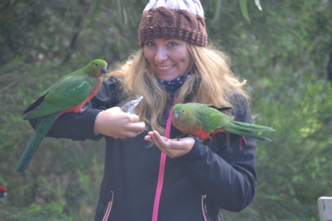 DSC_0203 (FILEminimizer)