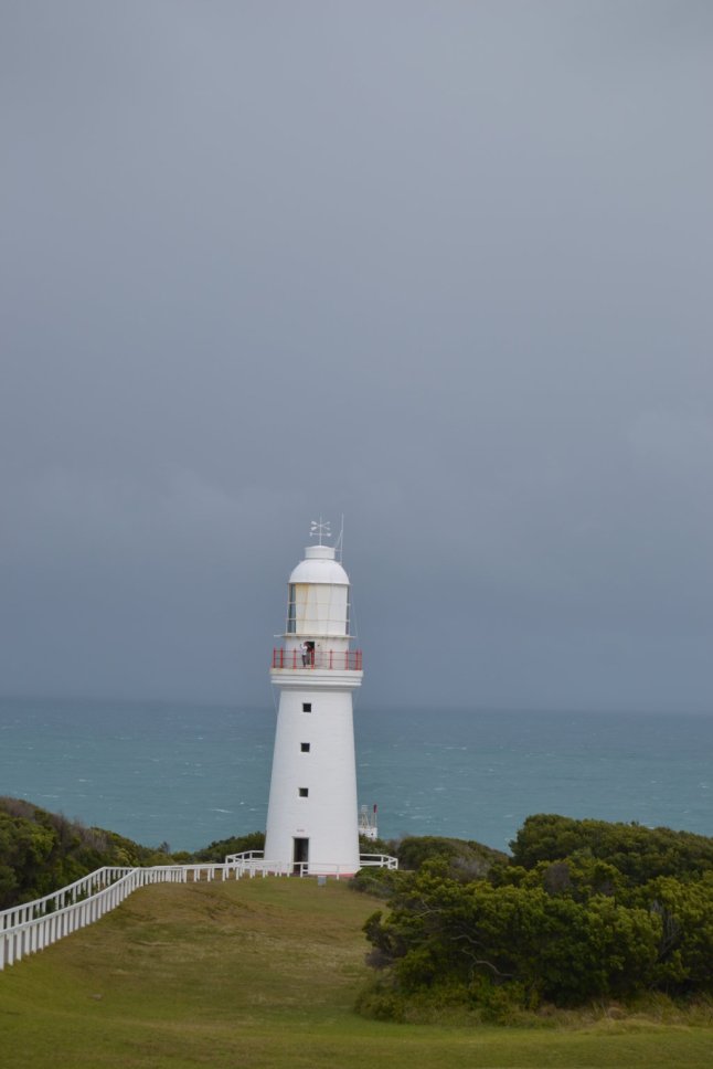 DSC_0207 (FILEminimizer)