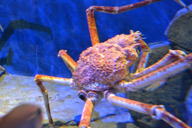 DSC_0214 (FILEminimizer)