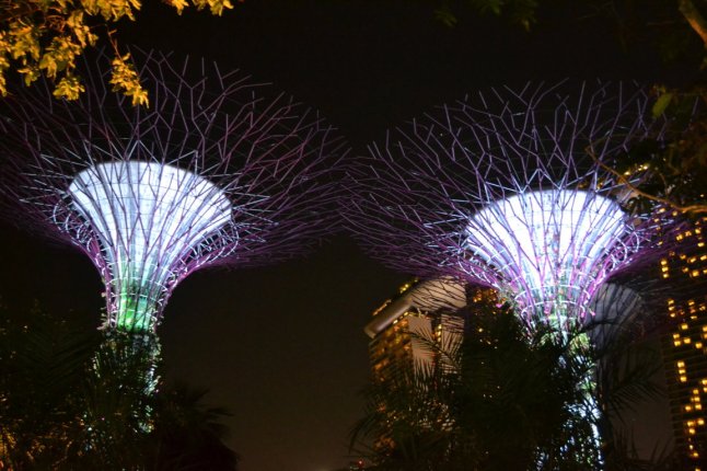 DSC_0234 (FILEminimizer)