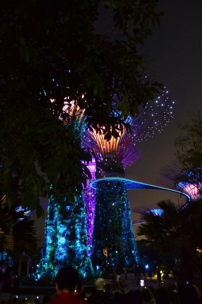 DSC_0235 (FILEminimizer)