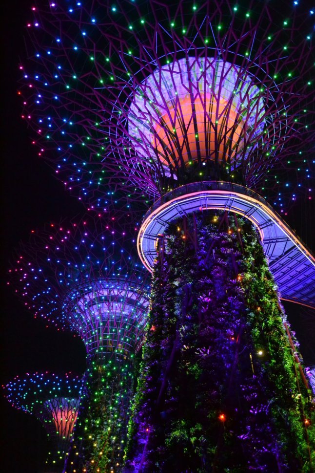 DSC_0257 (FILEminimizer)