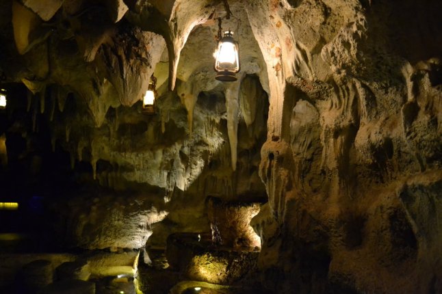 DSC_0261 (FILEminimizer)