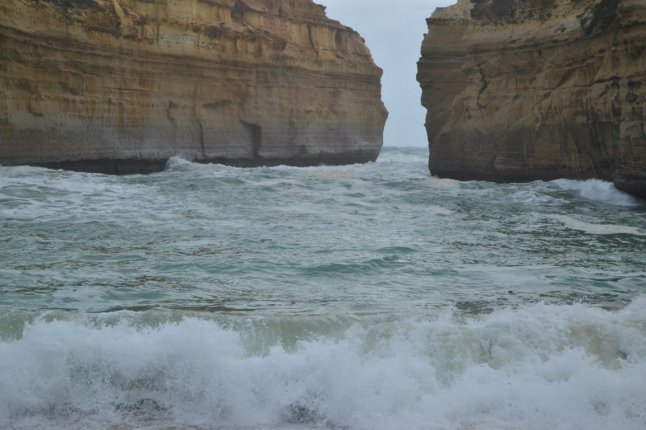 DSC_0300 (FILEminimizer)