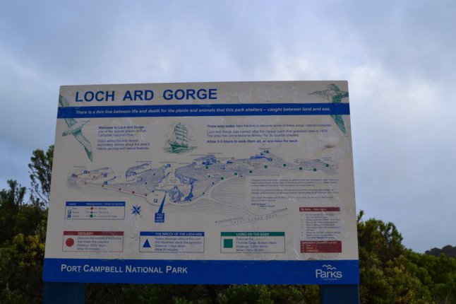 DSC_0359 (FILEminimizer)