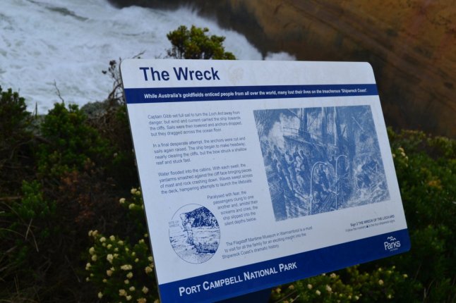 DSC_0378 (FILEminimizer)