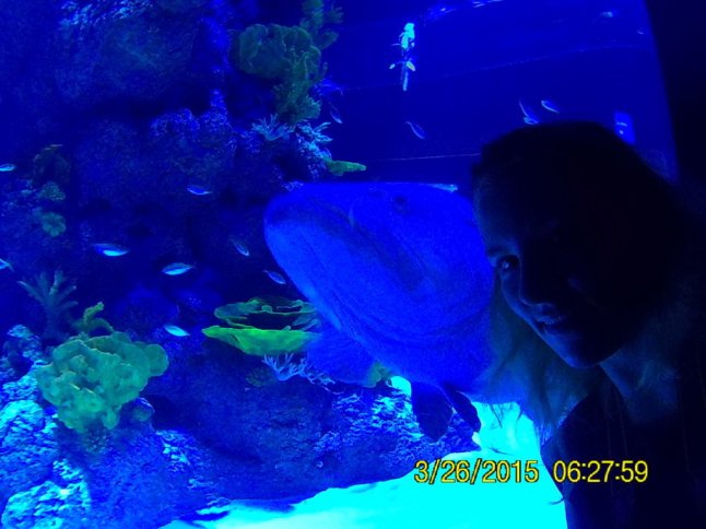 FHD0055 (FILEminimizer)