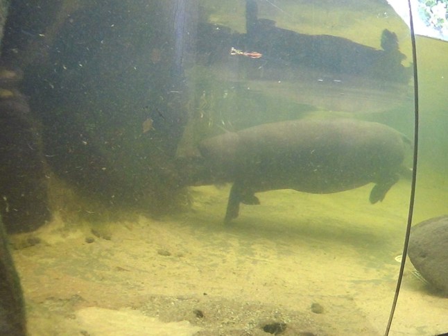 FHD0055 (FILEminimizer)