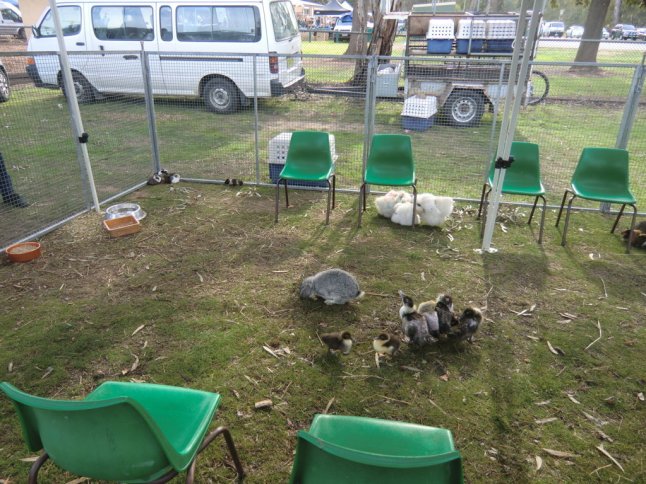 CIMG8073 (FILEminimizer)