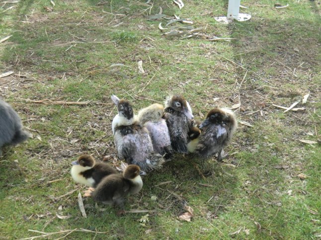 CIMG8074 (FILEminimizer)