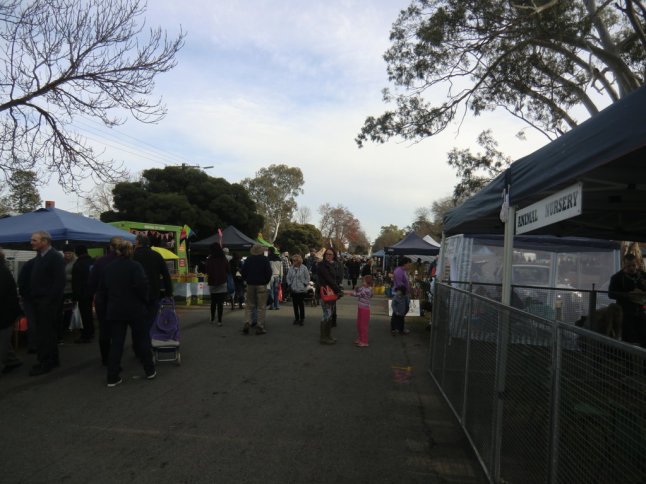 CIMG8078 (FILEminimizer)