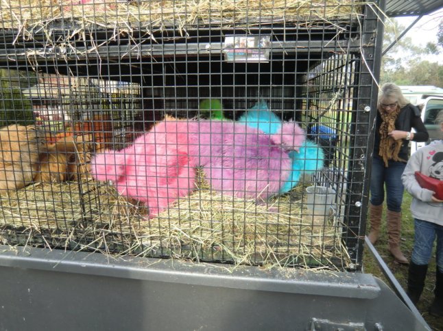 CIMG8079 (FILEminimizer)