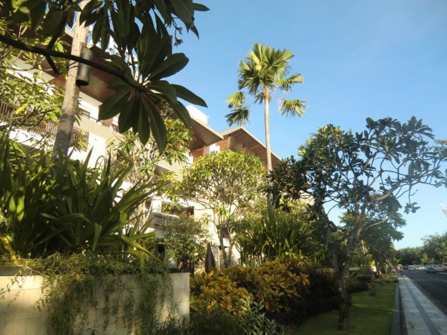 CIMG8085 (FILEminimizer)