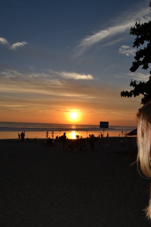 DSC_0002 (FILEminimizer)