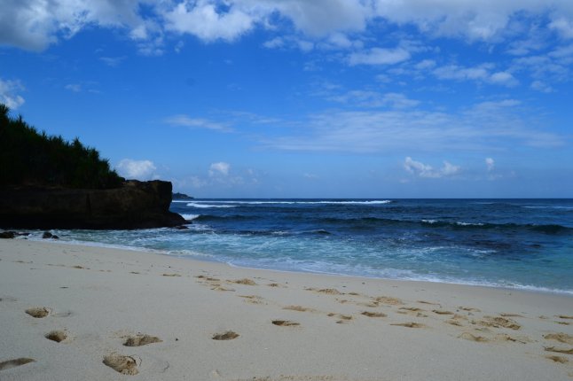 DSC_0003 (FILEminimizer)