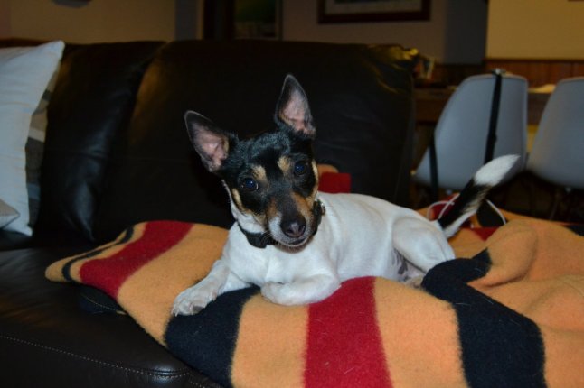 DSC_0011 (FILEminimizer)