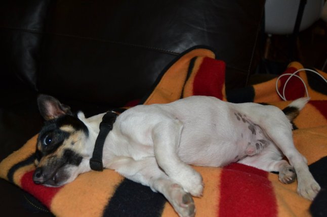 DSC_0013 (FILEminimizer)