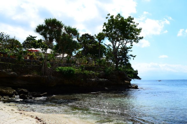 DSC_0023 (FILEminimizer)