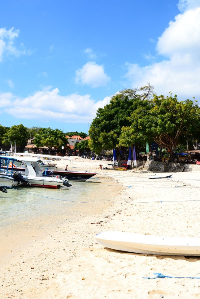 DSC_0026 (FILEminimizer)