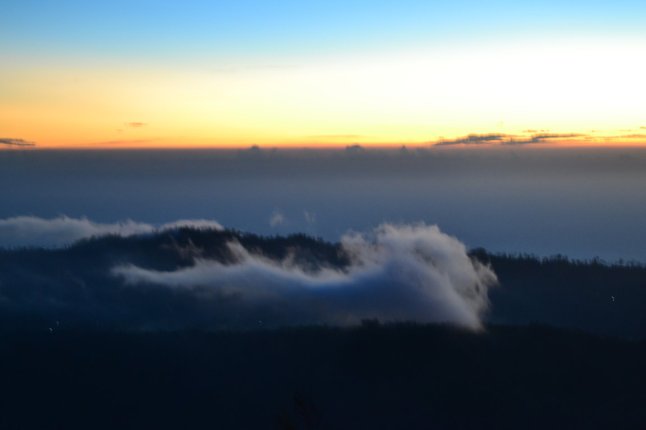 DSC_0052 (FILEminimizer)