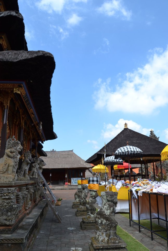 DSC_0100 (FILEminimizer)