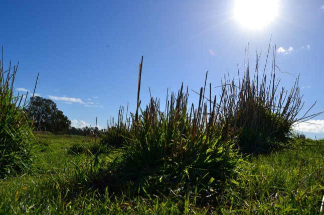 DSC_0102 (FILEminimizer)