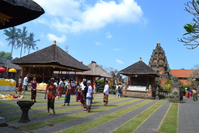 DSC_0102 (FILEminimizer)