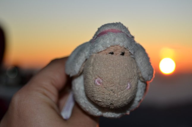 DSC_0105 (FILEminimizer)