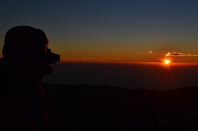 DSC_0116 (FILEminimizer)