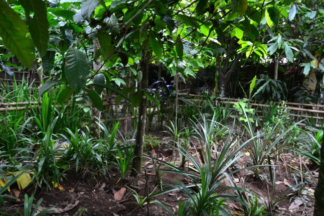 DSC_0117 (FILEminimizer)