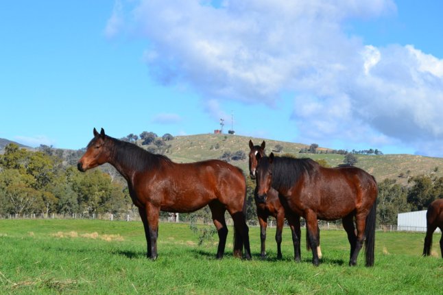 DSC_0123 (FILEminimizer)