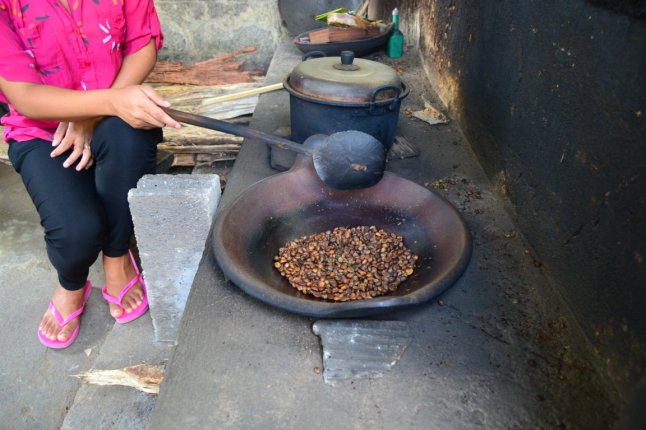 DSC_0123 (FILEminimizer)