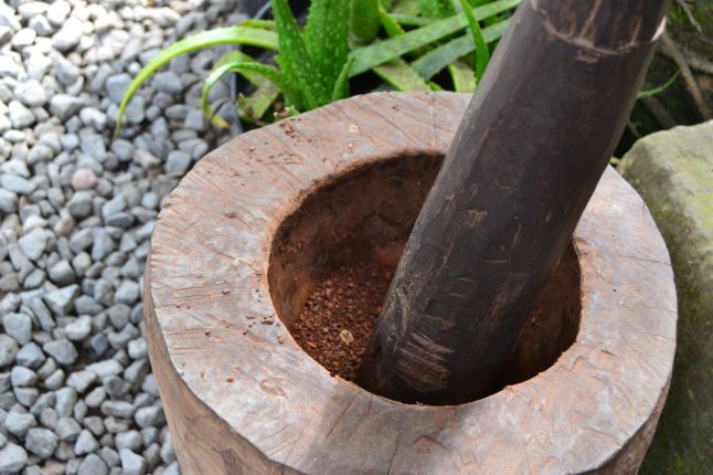 DSC_0126 (FILEminimizer)