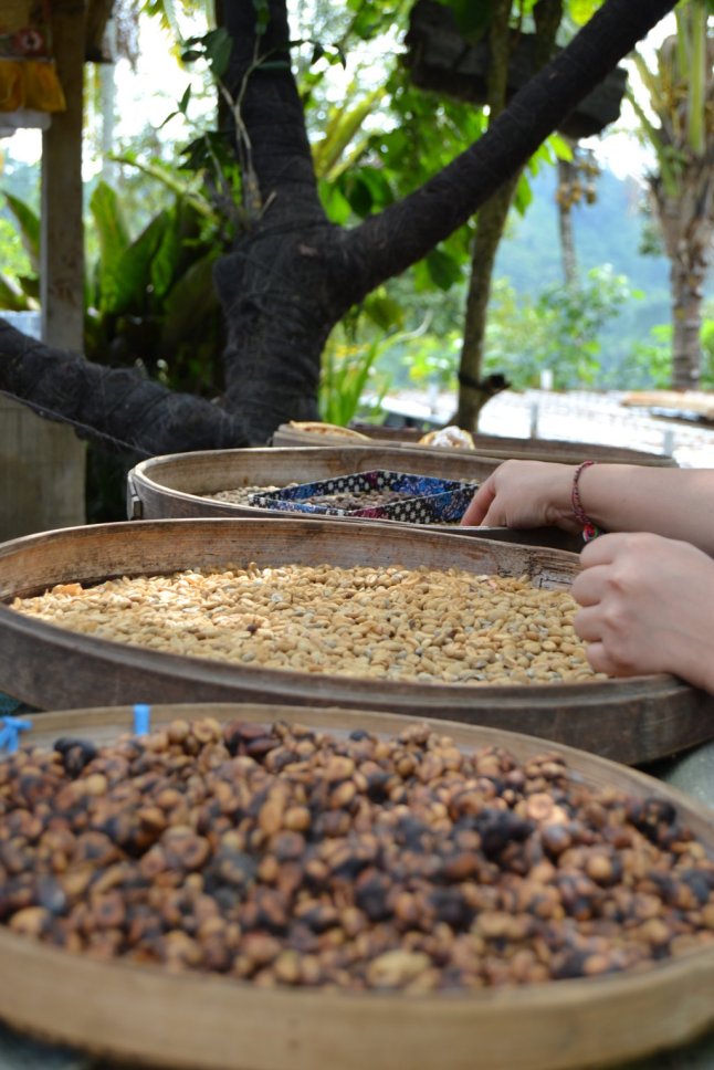 DSC_0128 (FILEminimizer)