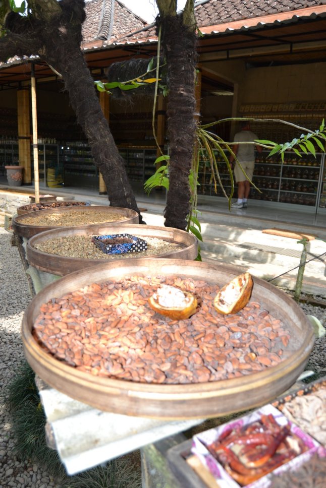 DSC_0130 (FILEminimizer)